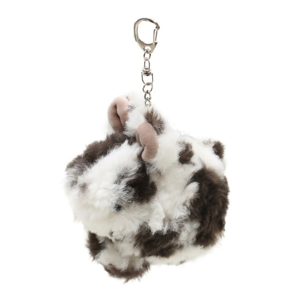 ミックスウサギ