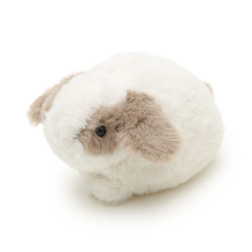 ロップイヤーウサギ