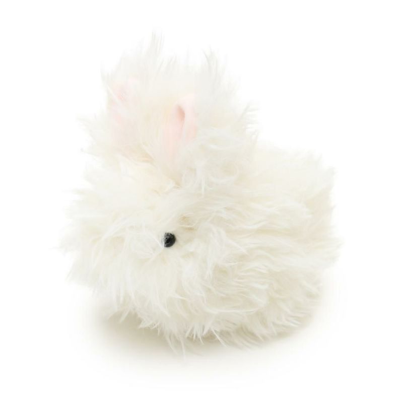 アンゴラウサギ