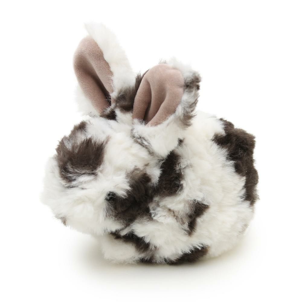 ミックスウサギ