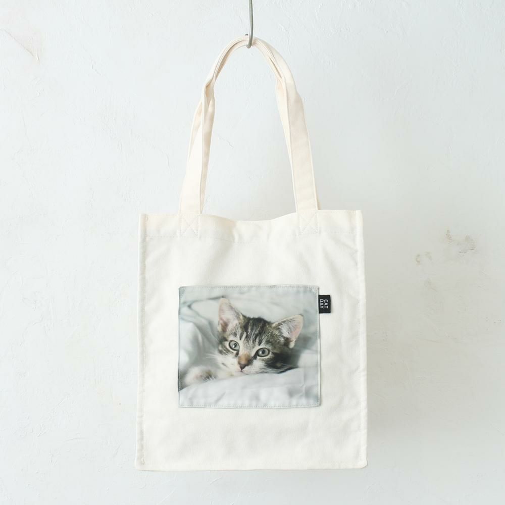 アメリカンショートヘア